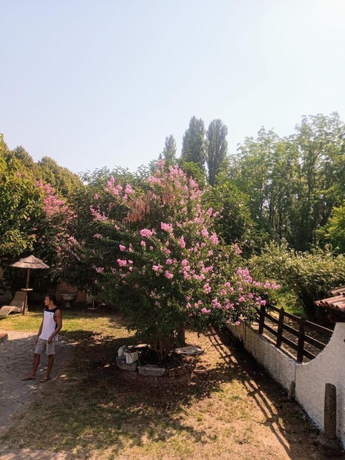 La Dama Con L'Ermellino B&B San Giovanni in Croce Εξωτερικό φωτογραφία