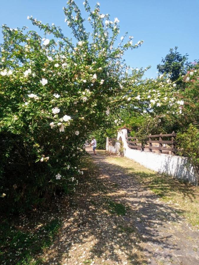 La Dama Con L'Ermellino B&B San Giovanni in Croce Εξωτερικό φωτογραφία